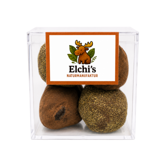 BIO Vegan Bliss Balls Kakao und Kiwi
