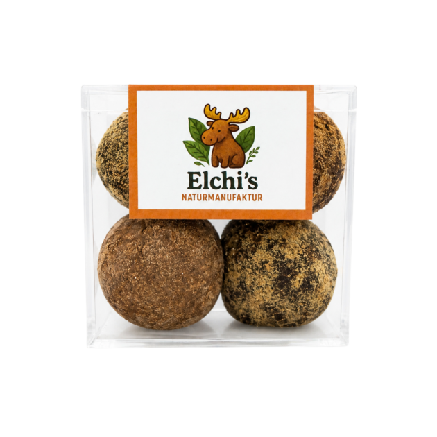 BIO Vegan Bliss Balls Kürbis und Zimt